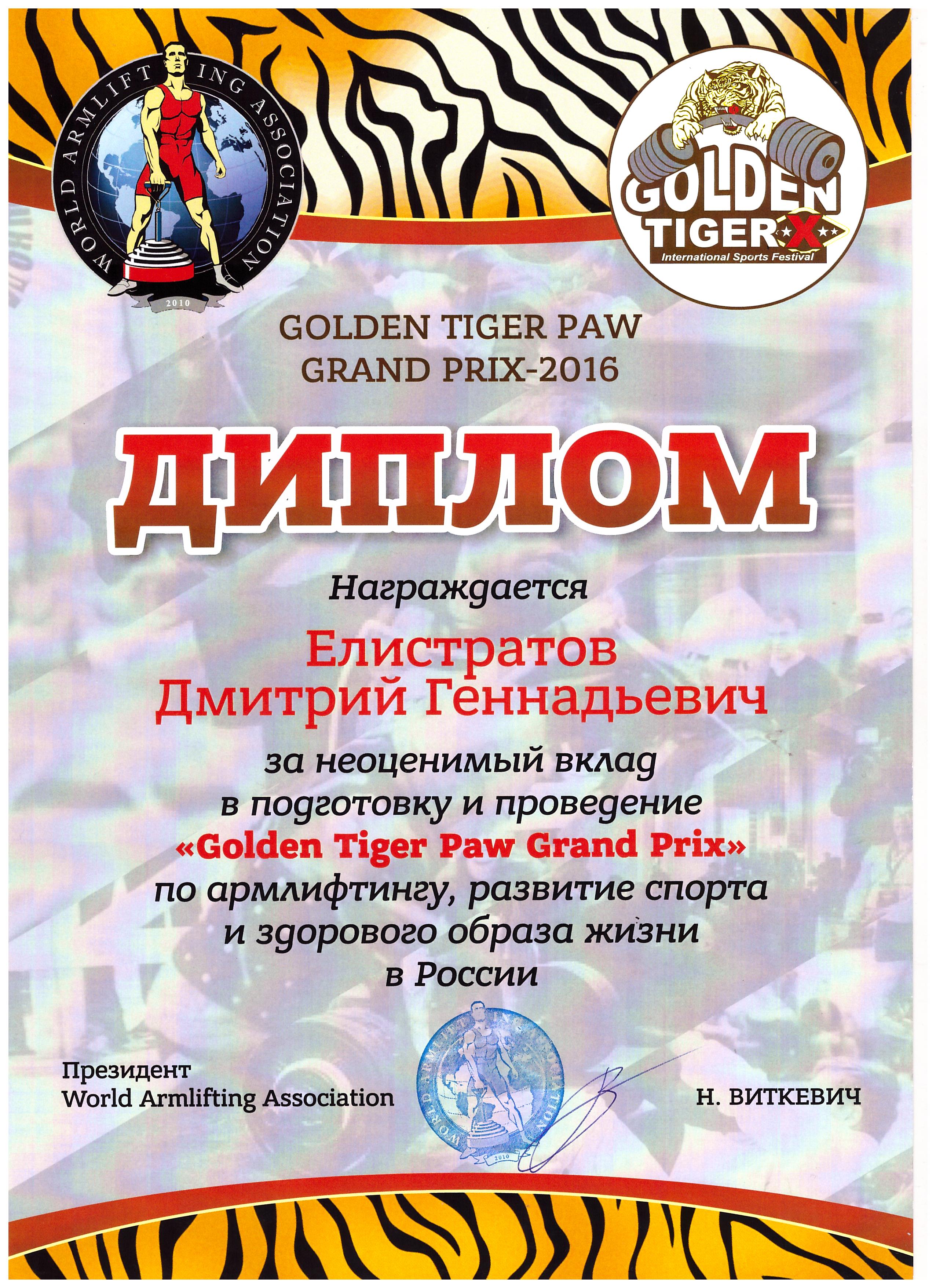 Диплом Елистратову Дмитрию Геннадьевичу за неоценимый вклад в подготовку и проведение "Golden Tiger Paw Grand Prix"