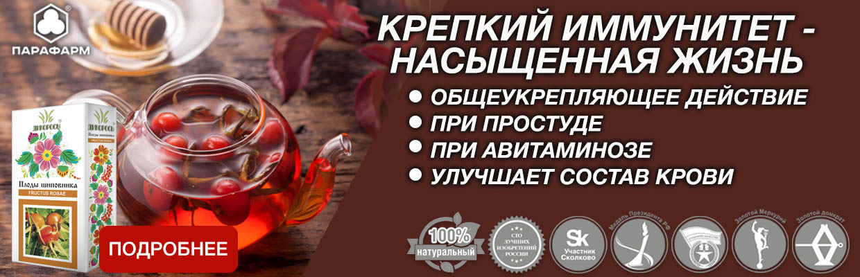 плоды шиповника