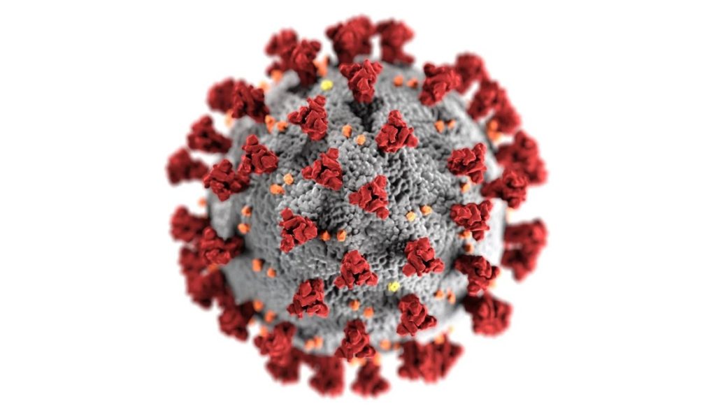 как поднять иммунитет после коронавируса